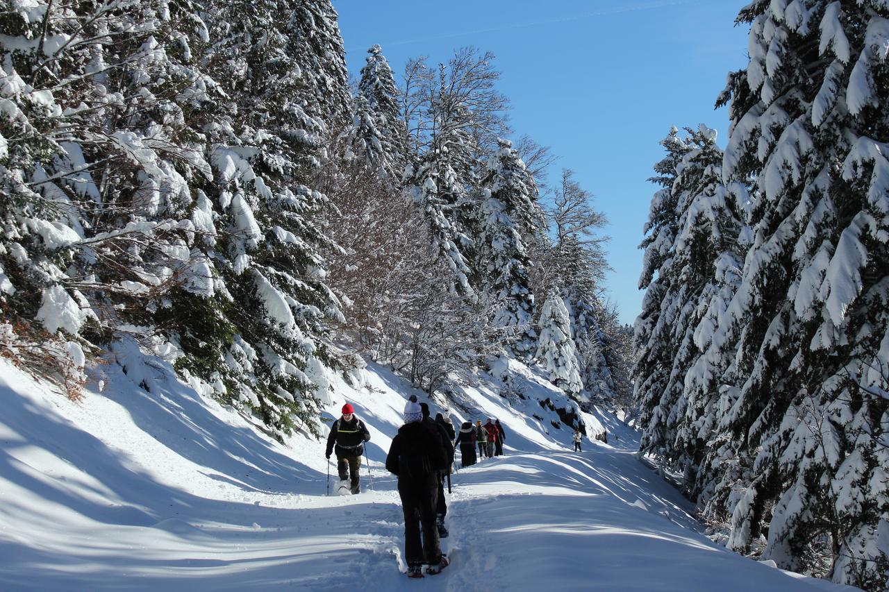 Auberge La Soulan Boutx Zewnętrze zdjęcie